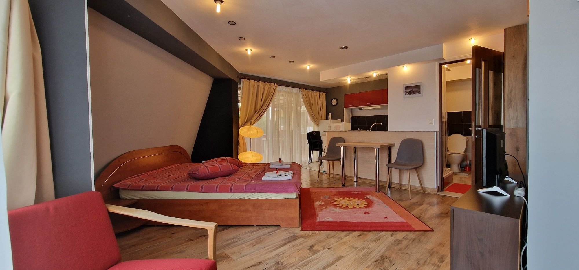 apartament-de-inchiriat-i-o-camera-i-zona-manastur_498